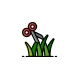 Lawn Mowing